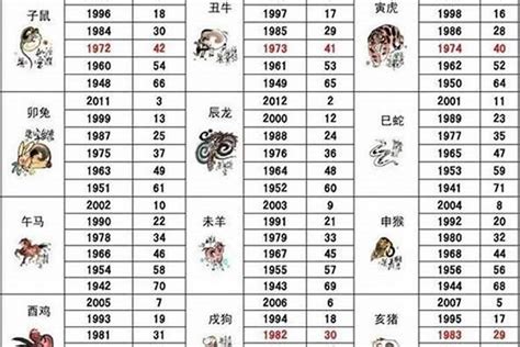 96年属|96年属什么的生肖 96年属什么的生肖什么命